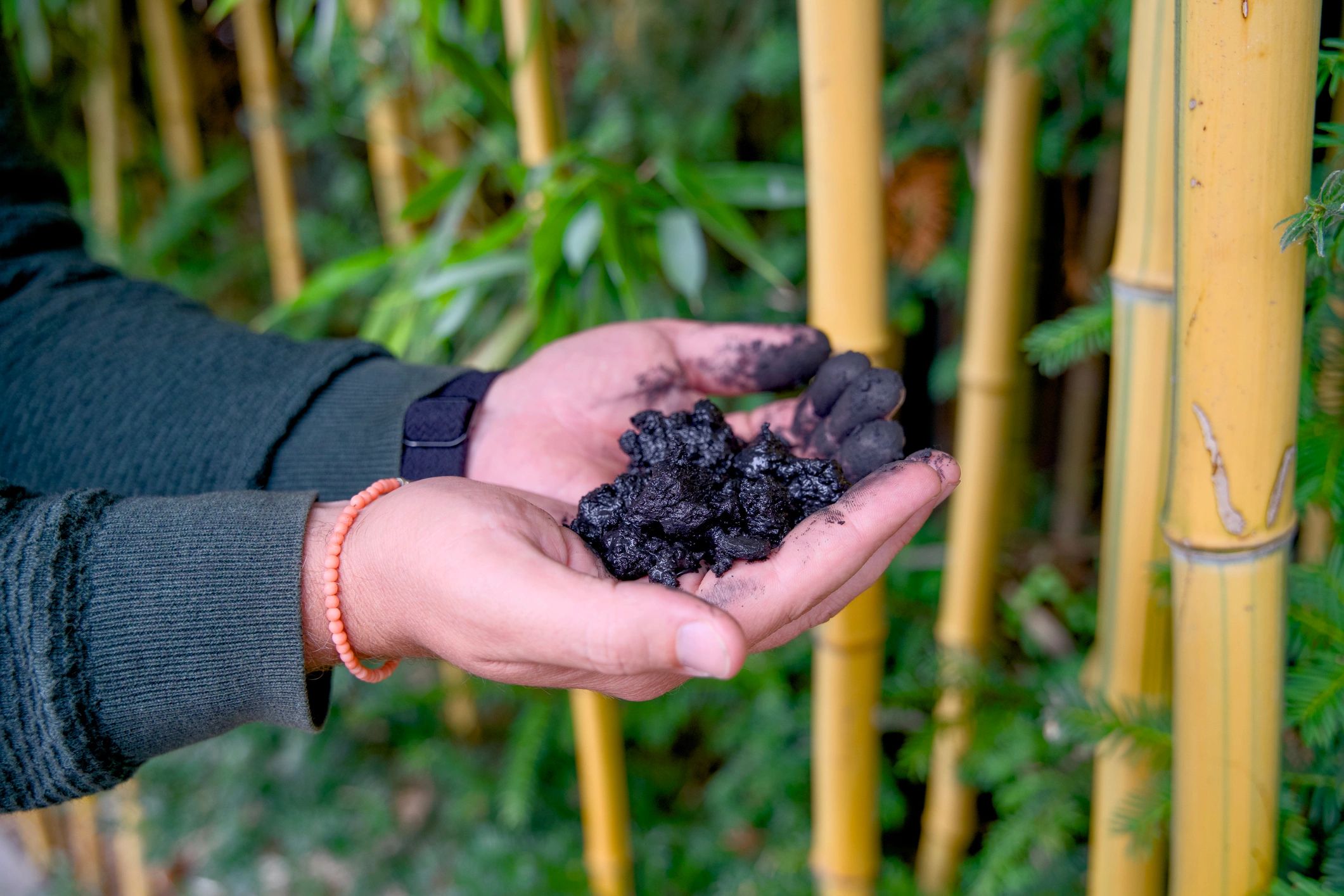 Biochar is the greatest soil amendment in my opinion!